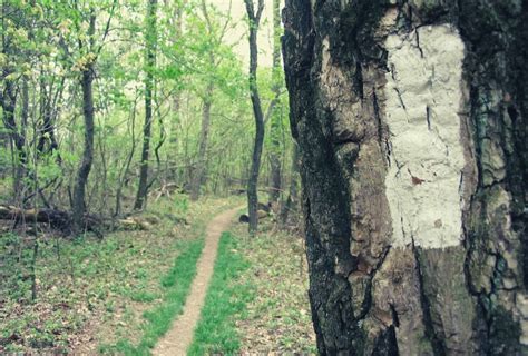 How to Follow a Trail: A Guide to Hiking Trail Markers & Blazes - My