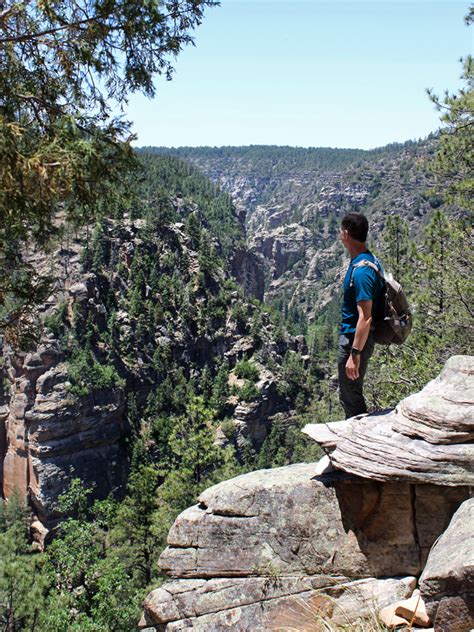 Looking for canyon pet hospital pet care & boarding? Maxwell Hiking Trail, Flagstaff, AZ: to West Clear Creek ...