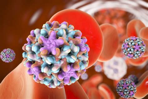 Nacionales Hepatitis C Test de detección gratuita en hospitales de todo el país