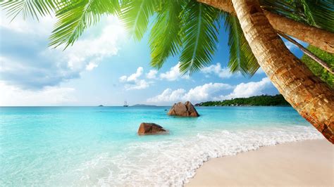 Beach At Praslin Island Seychelles Indian Ocean Best Hd Desktop