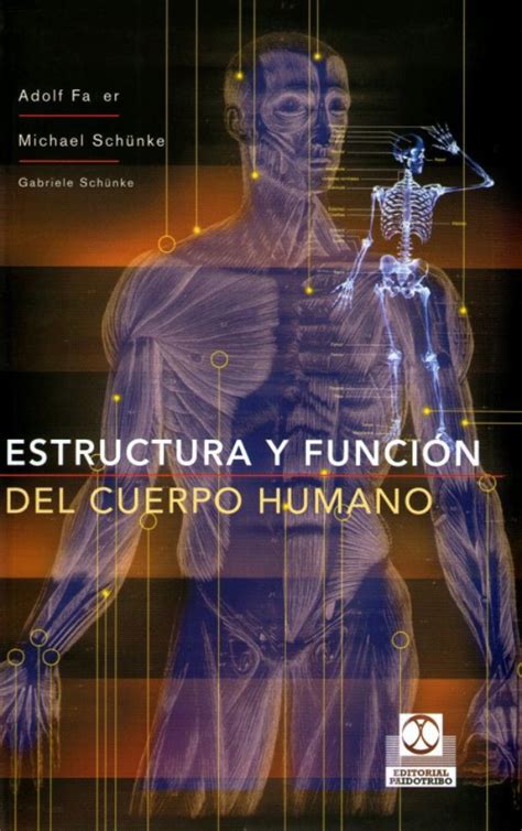 Estructura Y Función Del Cuerpo Humano By Adolf Faller Goodreads