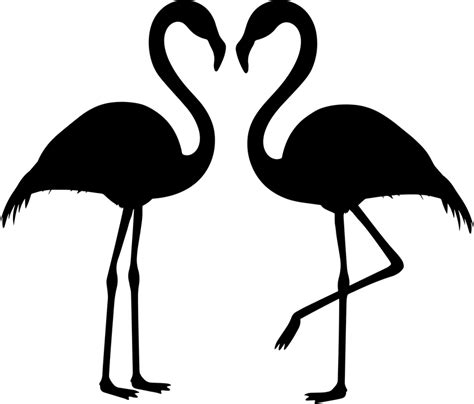 Flamingo Paar Silhouette Flamingos Kostenlose Vektorgrafik Auf Pixabay