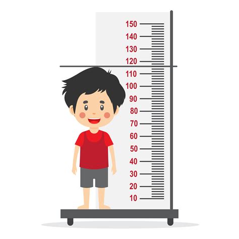 Height Measurement Vector Art Icons And Graphics For Free Download