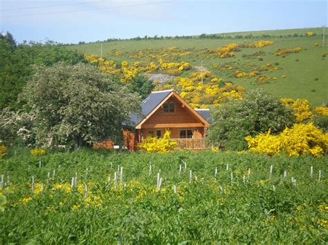 Booking your holiday cottage, lodge & log cabin in scotland. Luxury Log Cabin River Deveron - with Stoves