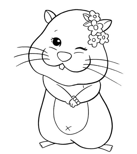 Top 25 Free printable Hamster Coloring Pages Online