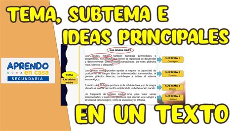 IDENTIFICA EL TEMA SUBTEMA E IDEAS PRINCIPALES DE UN TEXTO Aprendo 0