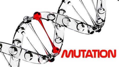 10 Unusual Genetic Mutations In Humans Genetic Mutation Genetics