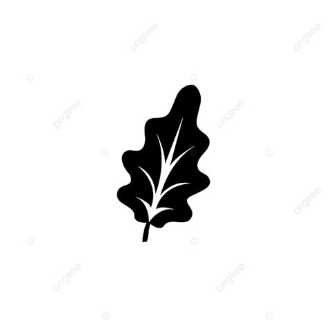 White Oak Leaf Silhouette Vector Png Oak Leaf Silhouette Icon Plant