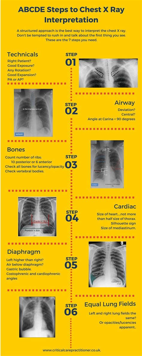 Maybe you would like to learn more about one of these? Pin by Charlotte Wertz on A&P | Medical education, Nurse, Medical knowledge