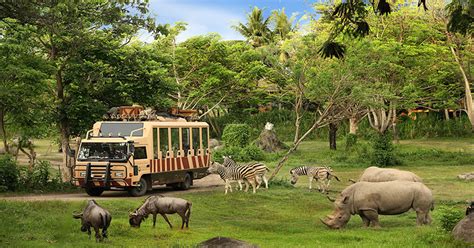 Binatang langka yang dilindungi di indonesia. 5 Kebun Binatang Unik di Dunia : Okezone Lifestyle