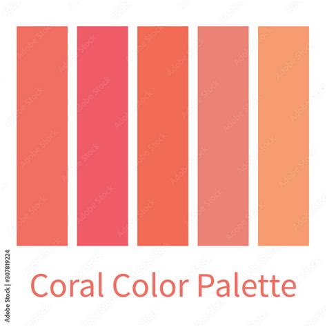 Coral Color Palette Color Gradation Swatch Coral Rose Peach Colors