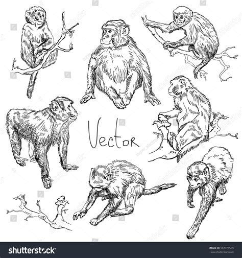 Update 80 Sketch Monkey Ineteachers
