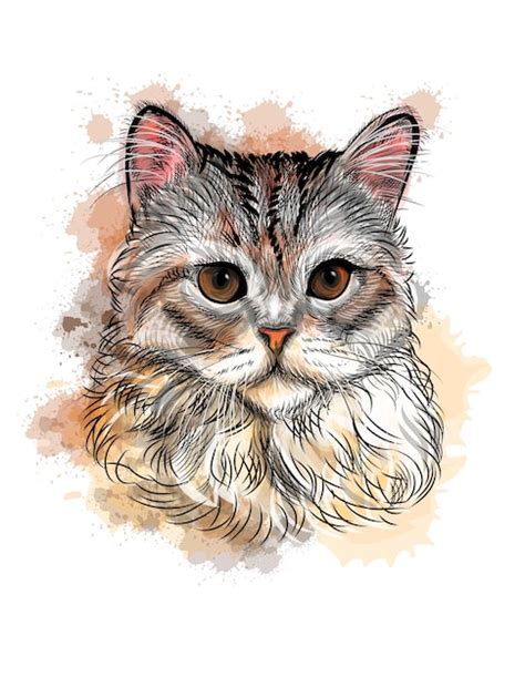 Retrato De Un Gato Boceto Dibujado A Mano Con Salpicaduras De