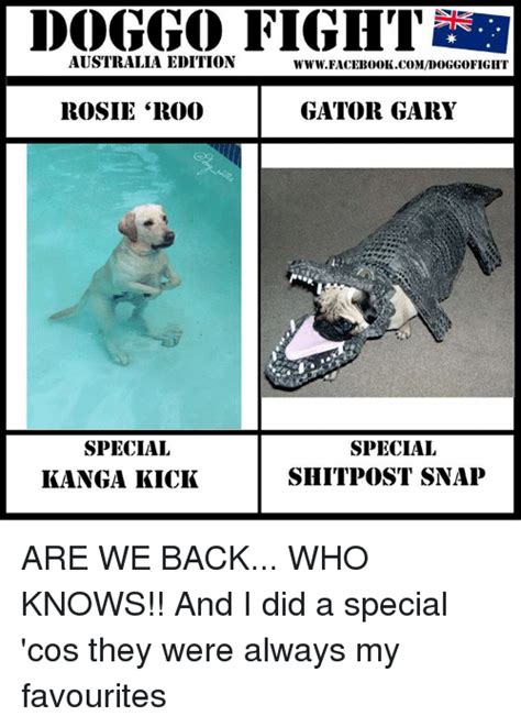 Doggo Fight Who Will Win Steve The Slink Dino Dan Special Special