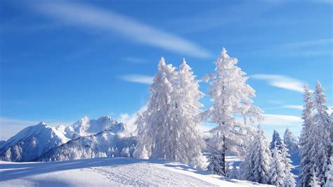 Free Download K Resimleri Hd Winter Landscape Wallpapers Duvar Katlar