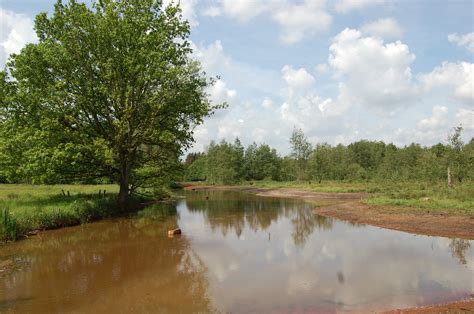 Gepubliceerd op maandag 24 augustus 2020. Wandelvakantie in eigen land: het Grote Netewoud verrast ...