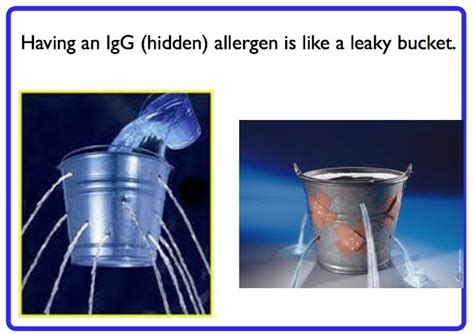 Overview of food allergy tests. Food allergy analogy | Food allergies testing, Food ...
