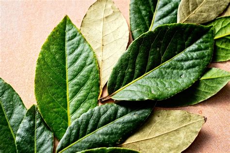 How To Use Bay Leaves To Make Sure You Can Actually Taste Them The