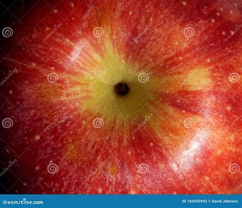 Close Up Texture Of A Red Apple Stock Image Image Of Nature