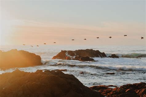 20 Best Things to Do in Pacific Grove, California