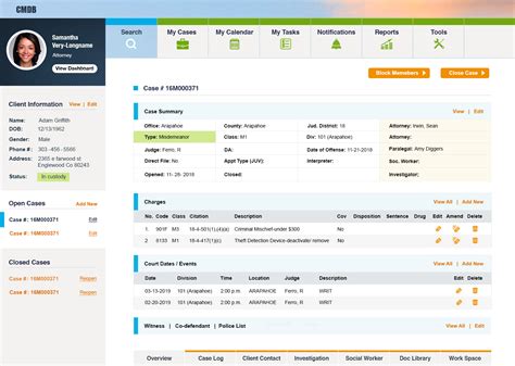 Case Management System User Interface Lius Creations