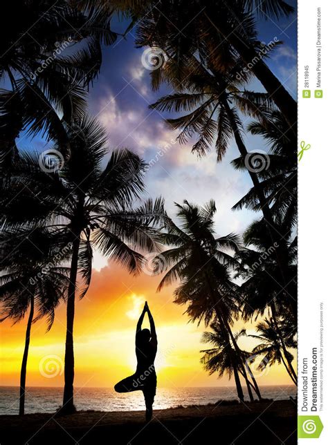 Yoga Tree Pose Around Palm Trees Royalty Free Stock Photography