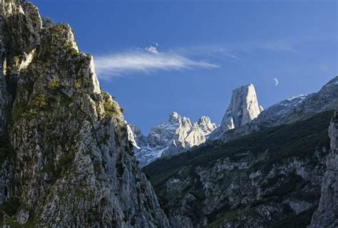 Spains Picos De Europa Mountains Naturetrek