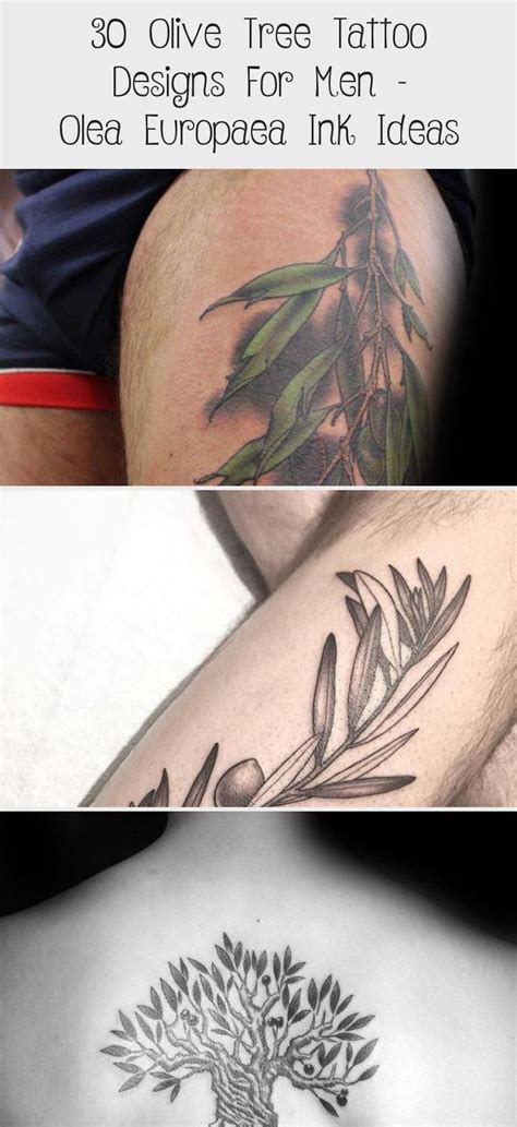 30 Olive Tree Tattoo Designs For Men Olea Europaea Ink Ideas