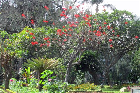 No, haus marion haueis does not offer free airport shuttle service. Madeira/ Funchal: 4. Tag – Eine Levada-Wanderung | mmth.de ...