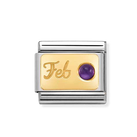 Nomination Gold February Amethyst Charm Canterbury House Jewellers