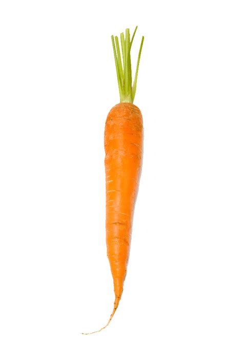 Baby Carrot Orange Carrot Png Download 650975 Free Transparent