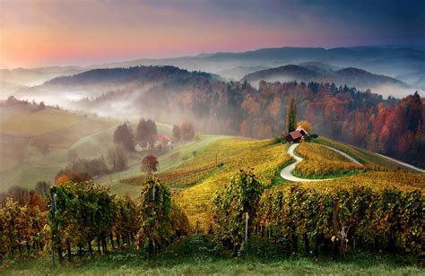 Landscape restaurant is exclusively available for group bookings of up to 20 people from monday to sunday evenings upon request. Wedding - Wedding in Slovenia
