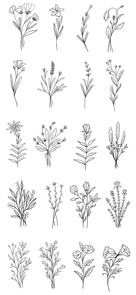 Wildflower Vector Illustrations | Flower drawing design, Floral drawing