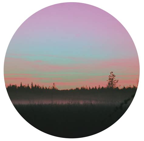 tumblr forest nature sunset circle...