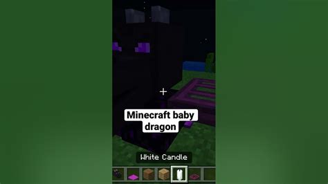 Minecraft Baby Dragon Youtube