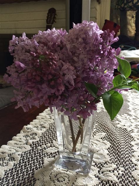 Check spelling or type a new query. Lilacs from my garden | Glass vase, Garden, Vase