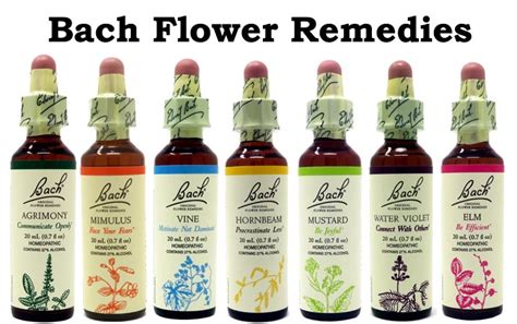 Bach Flower Therapy Yoga Methods