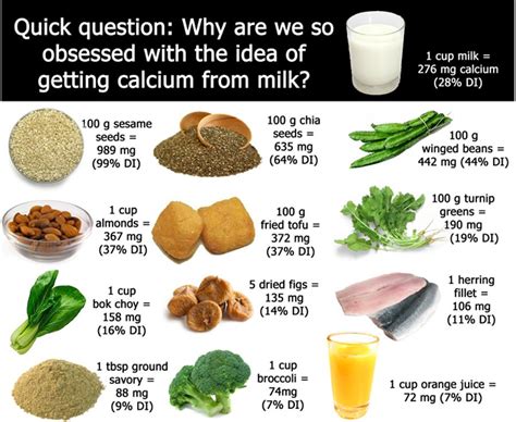 Calcium Blog Aliments Avec Calcium Sans Lait