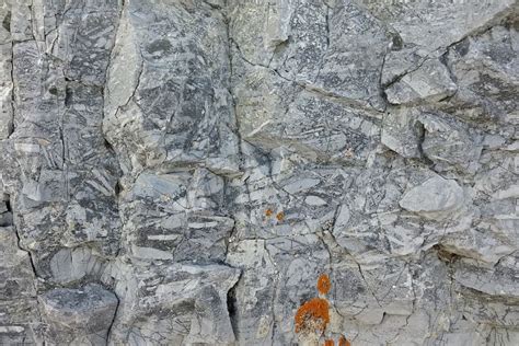 Dolomite Rock Sedimentary Rocks