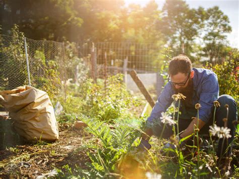 How To Prepare Your Garden For Spring Planting The Best Way