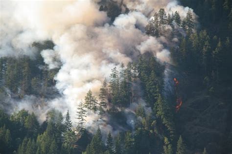 Understanding The Dangers Of Wildfire Smoke And Tips To Prevent Injury
