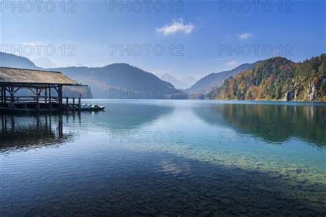 Lake Alpsee With Boathouse In Autumn Photo12 Imagebroker Raimund Linke