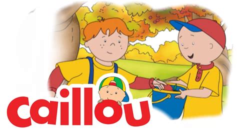 Caillou Caillou Goes Shopping S04e14 Cartoon For Kids Youtube