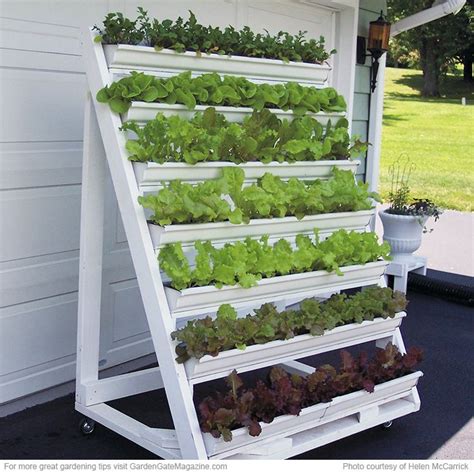 Vertical Garden Using Gutters Salad Garden Using Rain Gutters Take