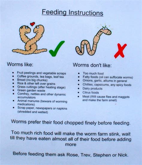 Repin Image Worm Farm Rules We Spell On Pinterest Worm Farm Worm
