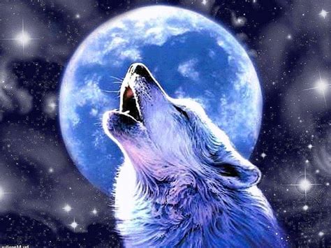 Lobos Fotos Reales Y Artes Conceptuales Wolf Howling At Moon Wolf