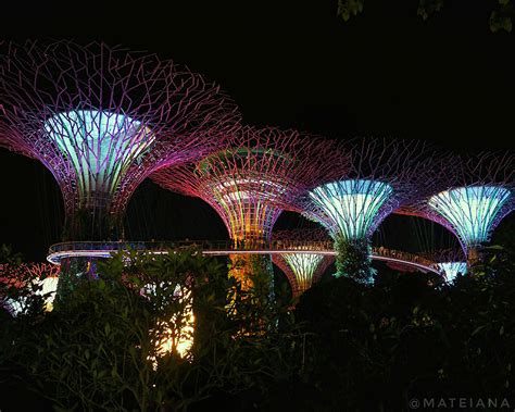 Goosebumps 4 Amazing Light And Music Shows In Singapore Am Journeys