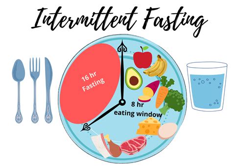 Metabolic Switching Track Your Intermittent Fasting Plan