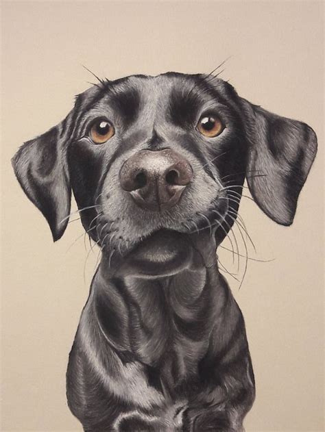Custom Pastel Pencil Drawing Dog Portrait Etsy Prismacolor Art
