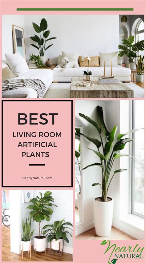 Rochelle Wallace Best Living Room Flowers 10 Most Beautiful Indoor